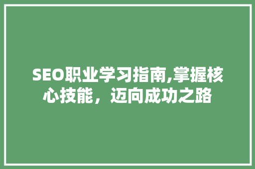 SEO职业学习指南,掌握核心技能，迈向成功之路 百度SEO