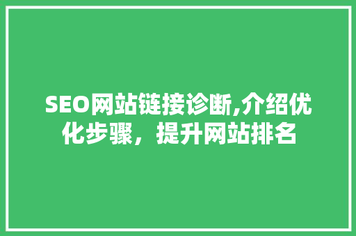 SEO网站链接诊断,介绍优化步骤，提升网站排名 SEO关键词