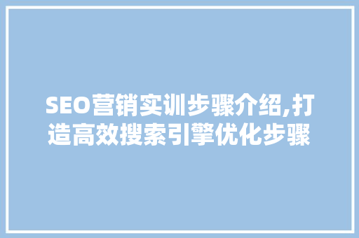 SEO营销实训步骤介绍,打造高效搜索引擎优化步骤 SEO关键词