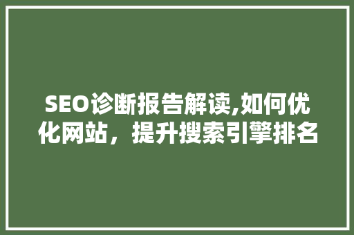 SEO诊断报告解读,如何优化网站，提升搜索引擎排名 SEO关键词
