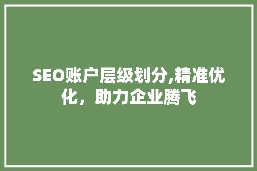 SEO账户层级划分,精准优化，助力企业腾飞