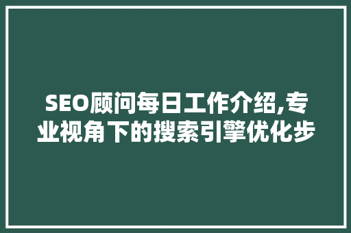 SEO顾问每日工作介绍,专业视角下的搜索引擎优化步骤 神马SEO