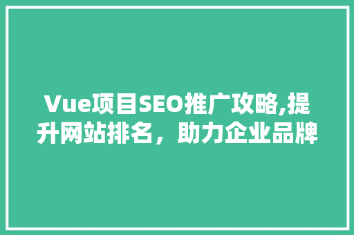 Vue项目SEO推广攻略,提升网站排名，助力企业品牌传播 神马SEO