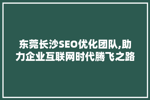 东莞长沙SEO优化团队,助力企业互联网时代腾飞之路 百度SEO