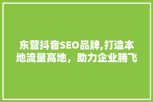 东营抖音SEO品牌,打造本地流量高地，助力企业腾飞 必应SEO