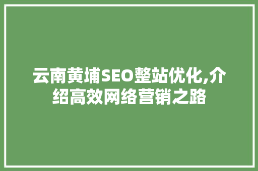 云南黄埔SEO整站优化,介绍高效网络营销之路