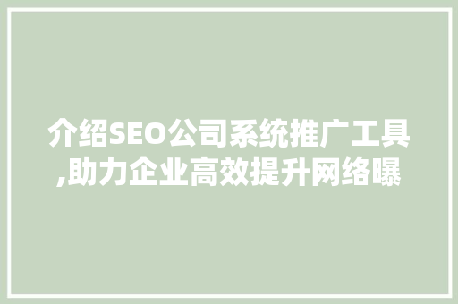 介绍SEO公司系统推广工具,助力企业高效提升网络曝光度 SEO关键词