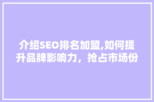 介绍SEO排名加盟,如何提升品牌影响力，抢占市场份额 网站建设公司