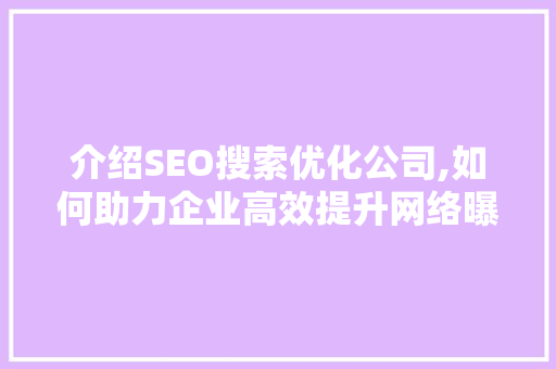 介绍SEO搜索优化公司,如何助力企业高效提升网络曝光度