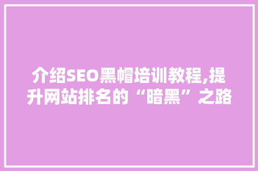 介绍SEO黑帽培训教程,提升网站排名的“暗黑”之路 百度SEO