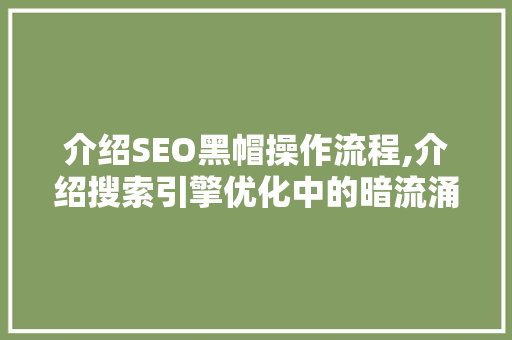 介绍SEO黑帽操作流程,介绍搜索引擎优化中的暗流涌动 搜狗SEO