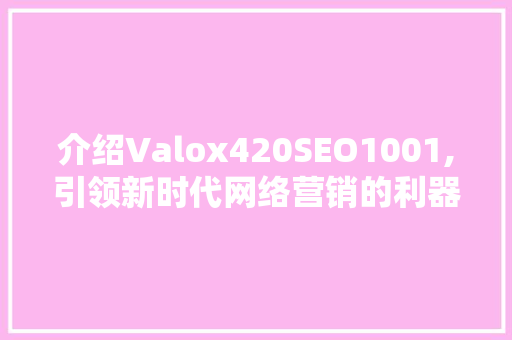 介绍Valox420SEO1001,引领新时代网络营销的利器