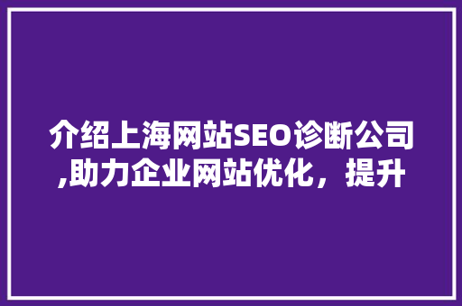 介绍上海网站SEO诊断公司,助力企业网站优化，提升在线竞争力 百度SEO