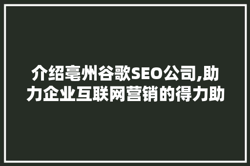 介绍亳州谷歌SEO公司,助力企业互联网营销的得力助手 神马SEO