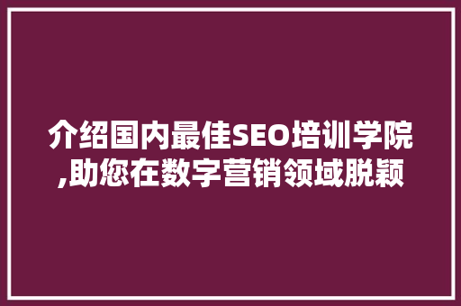 介绍国内最佳SEO培训学院,助您在数字营销领域脱颖而出 SEO关键词