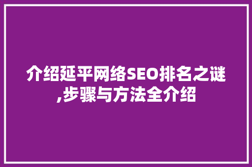 介绍延平网络SEO排名之谜,步骤与方法全介绍 网站建设公司