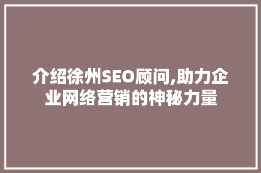 介绍徐州SEO顾问,助力企业网络营销的神秘力量 网站建设公司