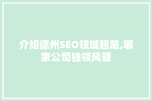 介绍德州SEO领域翘楚,哪家公司独领风骚
