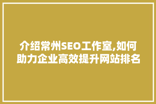 介绍常州SEO工作室,如何助力企业高效提升网站排名