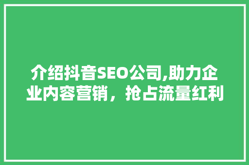 介绍抖音SEO公司,助力企业内容营销，抢占流量红利 网站建设公司