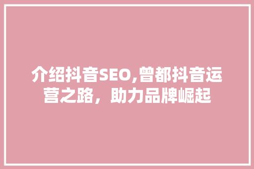 介绍抖音SEO,曾都抖音运营之路，助力品牌崛起 网站建设公司