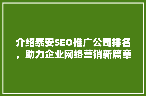 介绍泰安SEO推广公司排名，助力企业网络营销新篇章 SEO关键词