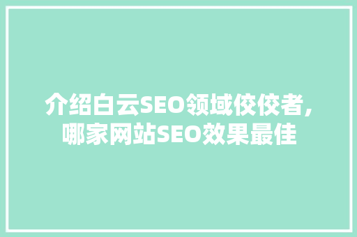介绍白云SEO领域佼佼者,哪家网站SEO效果最佳 百度SEO