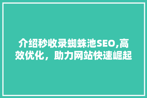 介绍秒收录蜘蛛池SEO,高效优化，助力网站快速崛起 必应SEO