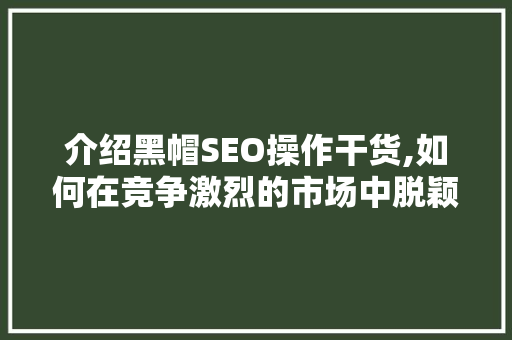 介绍黑帽SEO操作干货,如何在竞争激烈的市场中脱颖而出