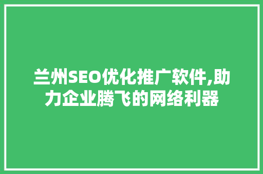 兰州SEO优化推广软件,助力企业腾飞的网络利器 网站建设公司