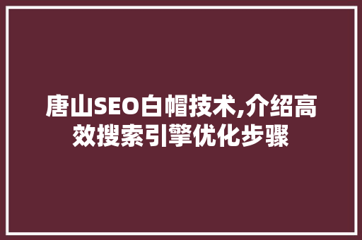 唐山SEO白帽技术,介绍高效搜索引擎优化步骤 百度SEO