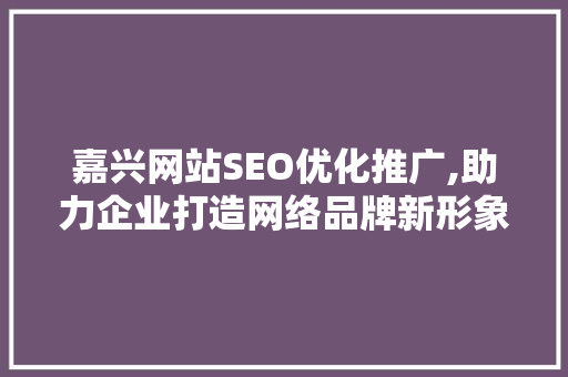 嘉兴网站SEO优化推广,助力企业打造网络品牌新形象