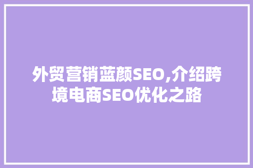 外贸营销蓝颜SEO,介绍跨境电商SEO优化之路