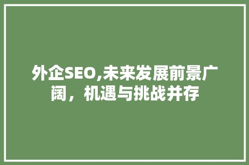 外企SEO,未来发展前景广阔，机遇与挑战并存 必应SEO