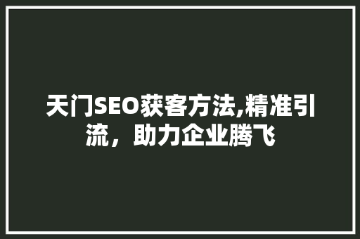 天门SEO获客方法,精准引流，助力企业腾飞 百度SEO
