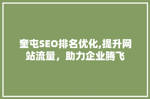 奎屯SEO排名优化,提升网站流量，助力企业腾飞 百度SEO