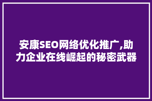 安康SEO网络优化推广,助力企业在线崛起的秘密武器 百度SEO