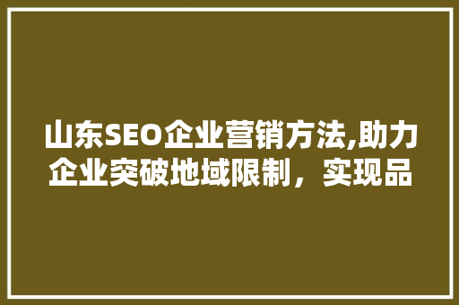 山东SEO企业营销方法,助力企业突破地域限制，实现品牌腾飞 神马SEO