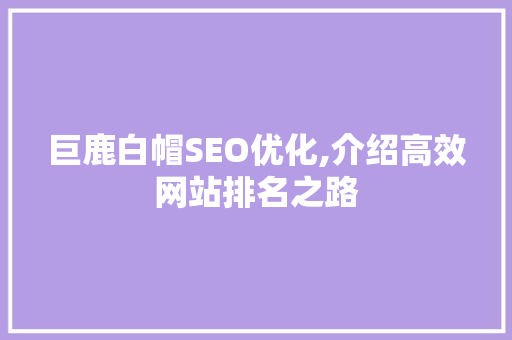 巨鹿白帽SEO优化,介绍高效网站排名之路 网站建设公司