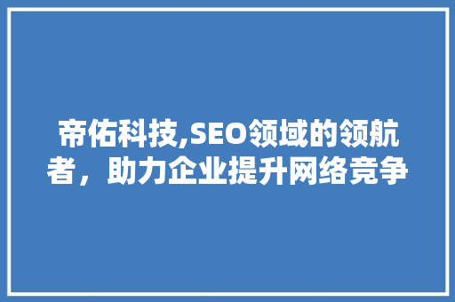 帝佑科技,SEO领域的领航者，助力企业提升网络竞争力