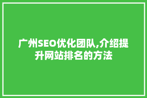 广州SEO优化团队,介绍提升网站排名的方法 百度SEO