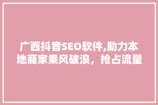 广西抖音SEO软件,助力本地商家乘风破浪，抢占流量红利 网站建设公司