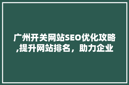 广州开关网站SEO优化攻略,提升网站排名，助力企业腾飞 网站建设公司