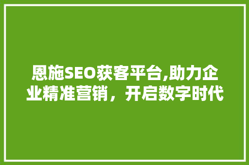 恩施SEO获客平台,助力企业精准营销，开启数字时代新篇章 网站建设公司