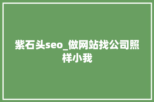 紫石头seo_做网站找公司照样小我 紫石头seo_做网站找公司照样小我 必应SEO