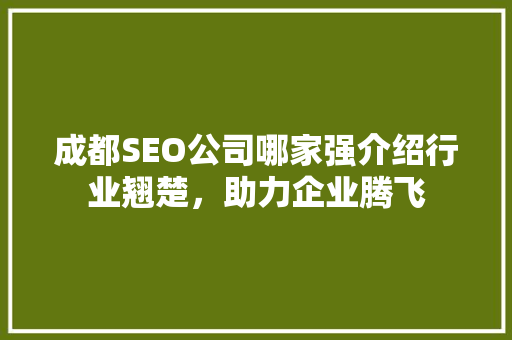 成都SEO公司哪家强介绍行业翘楚，助力企业腾飞