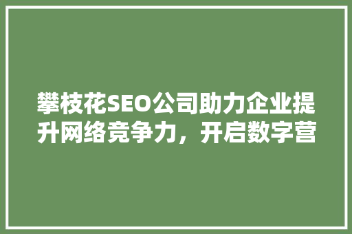 攀枝花SEO公司助力企业提升网络竞争力，开启数字营销新篇章 百度SEO