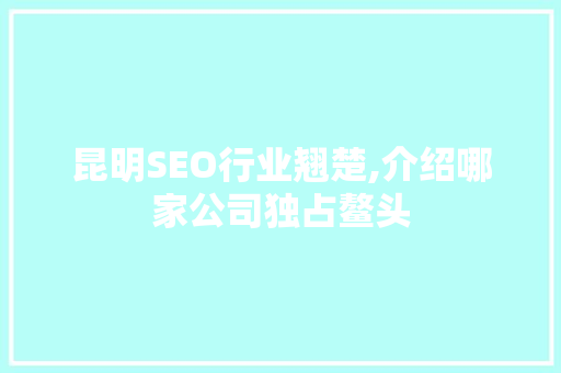 昆明SEO行业翘楚,介绍哪家公司独占鳌头 百度SEO