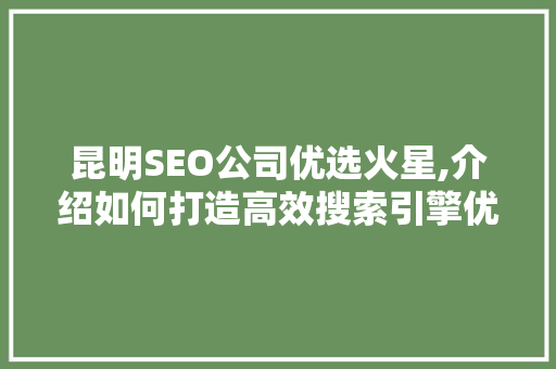 昆明SEO公司优选火星,介绍如何打造高效搜索引擎优化步骤 百度SEO