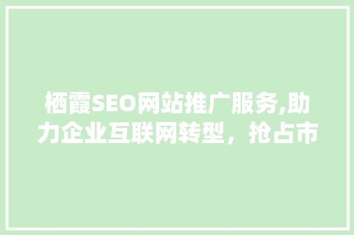 栖霞SEO网站推广服务,助力企业互联网转型，抢占市场先机 SEO关键词